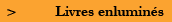 Livres enluminés